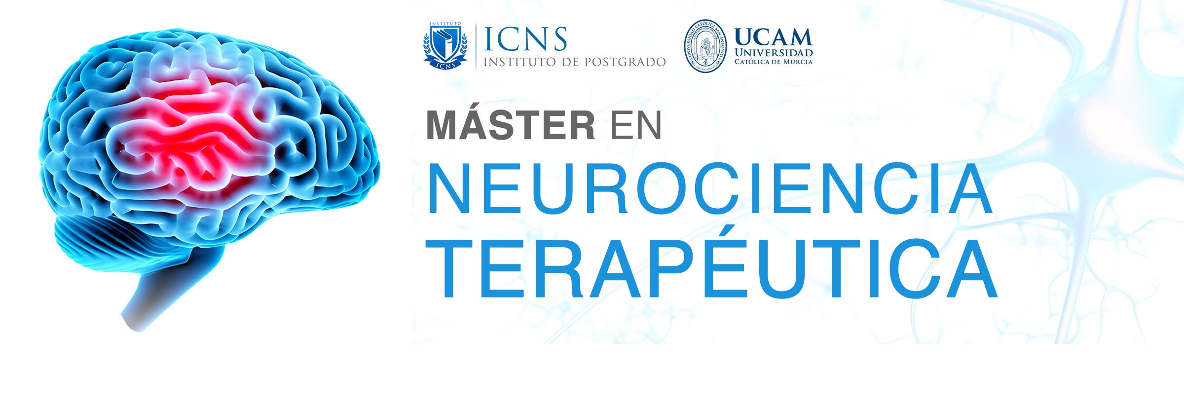 Máster En Neurociencia Terapéutica - 100% Online