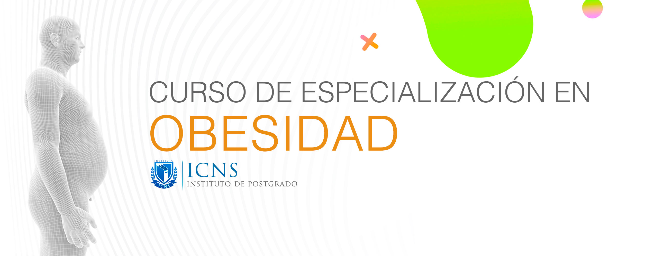 Curso de Especialización en Obesidad