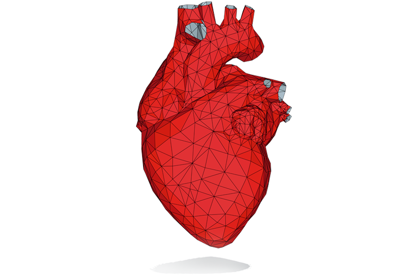 Clase 2 - Patologías Cardiovasculares