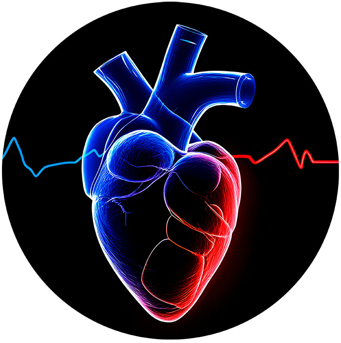 Clase 2 - Patologías Cardiovasculares