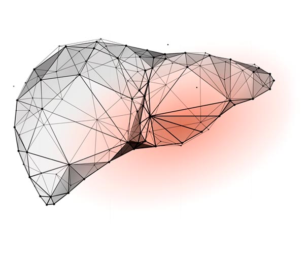 Clase 7 - Patología Hepática, páncreas y vesícula