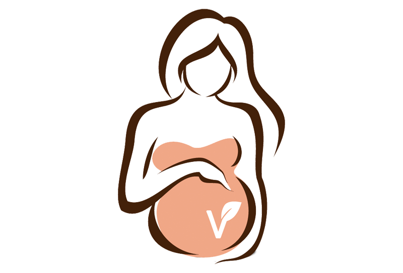 Clase 4 - Requerimientos en el Embarazo en mujeres veganas y vegetarianas